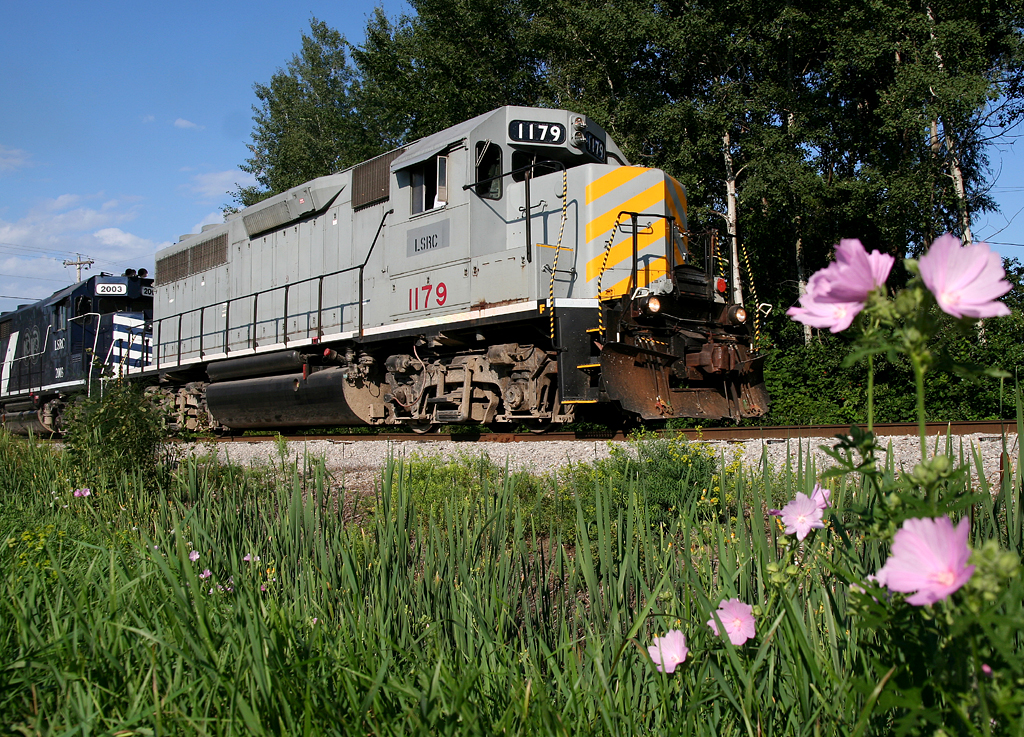 LSRC 1179 by the flowers at Franklin Street
8/13/08 Canon EOS Digital Rebel XT + Sigma 17-70 - Just before the train arrived I went to town on a few pesky weeds (JT style!).
